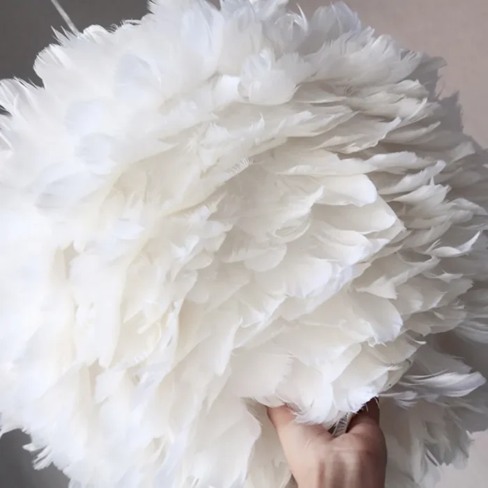 Close-up of Natural Feather Texture and Metal Frame