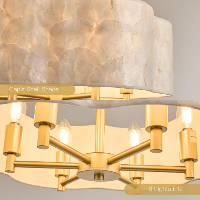 Natural Capiz Shell Petal Texture Detail