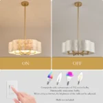 Natural Capiz Shell Petal Texture Detail