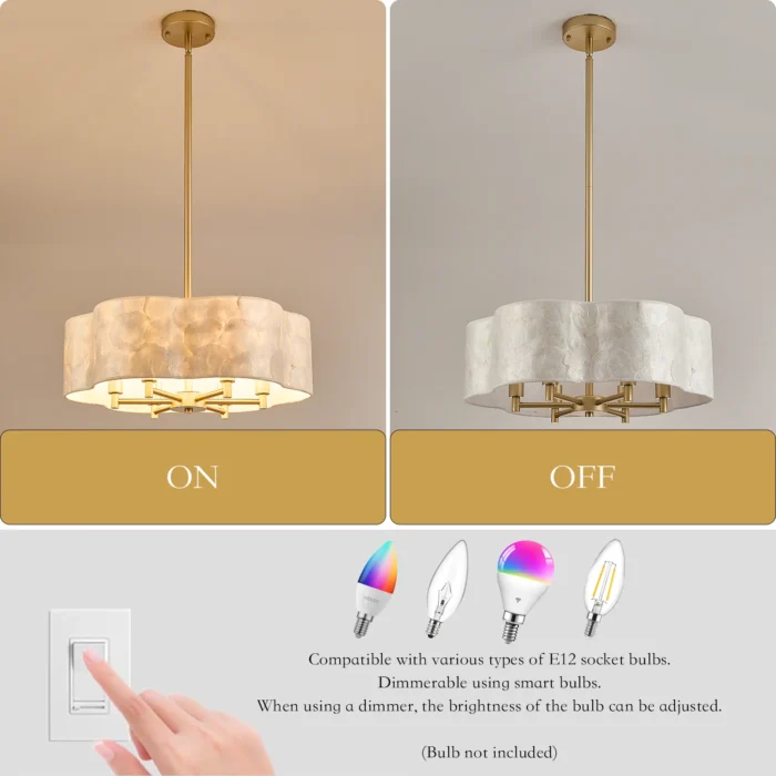 Natural Capiz Shell Petal Texture Detail